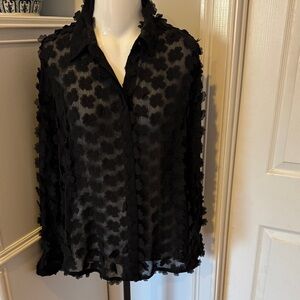 Zara Black Textured Sheer Blouse
